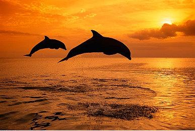 《异星开拓者》Steam抢先体验 太空探索经营建设