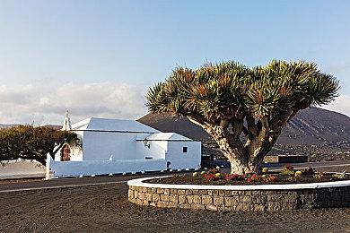 《阿凡达：潘多拉边境》故事、武器、开放世界细节泄露